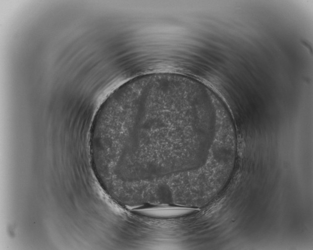 X0000100210995200806201441