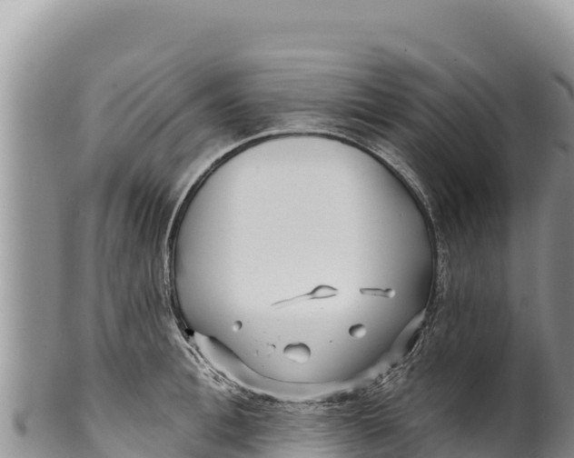 X0000100210996200806201441