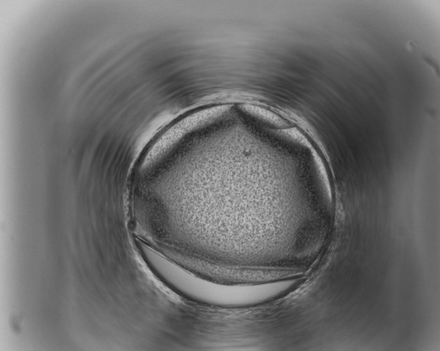 X0000100210997200806201441