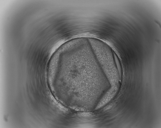 X0000100210998200806201441