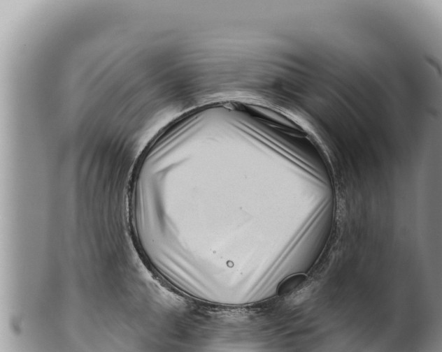 X0000100210999200806201441