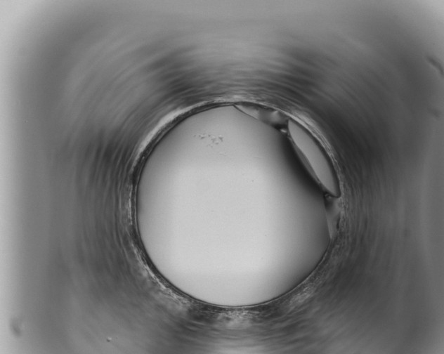 X0000100211000200806201441