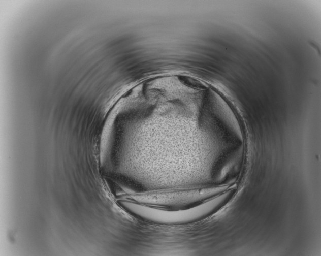 X0000100211001200806201441