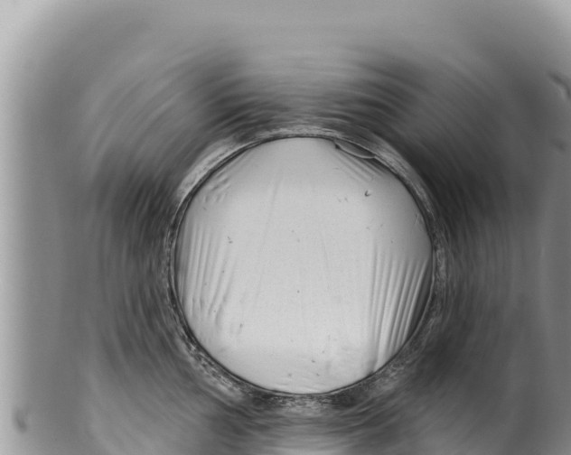 X0000100211002200806201441