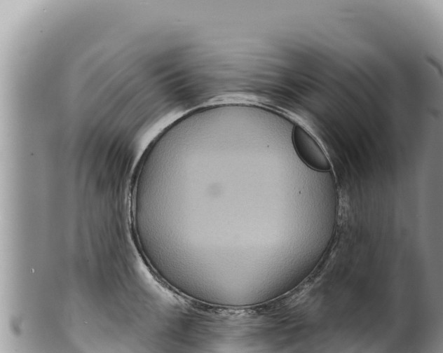 X0000100211003200806201441