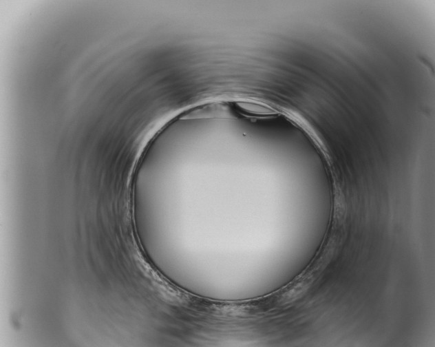 X0000100211004200806201441