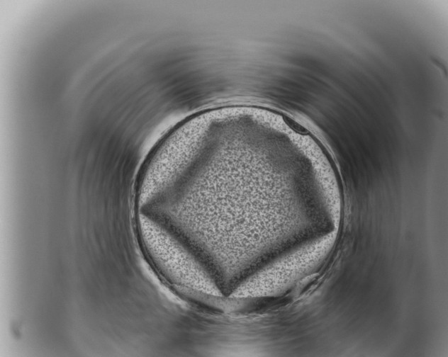 X0000100211005200806201440