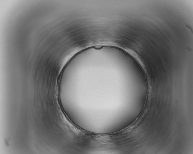 X0000100211006200806201440