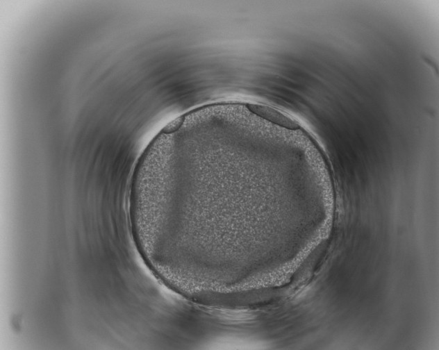 X0000100211007200806201440