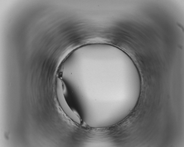 X0000100211008200806201440