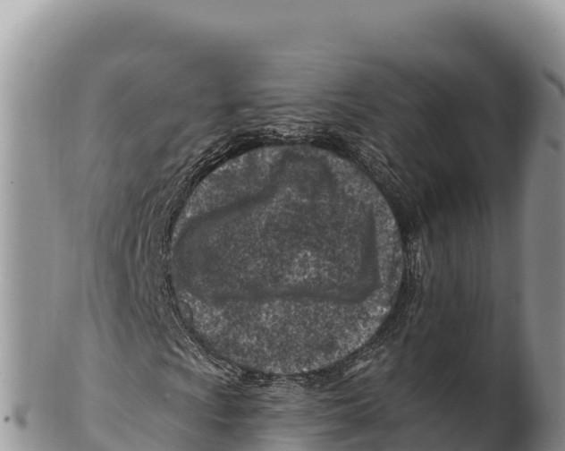 X0000100211009200806201440