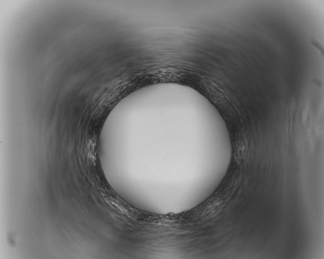 X0000100211010200806201440