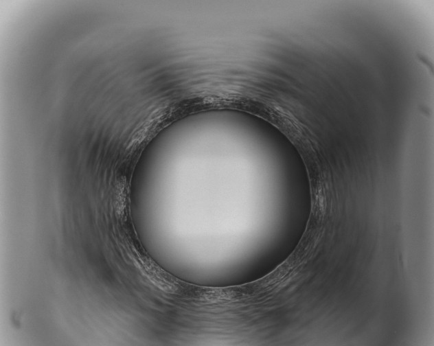 X0000100211012200806201440