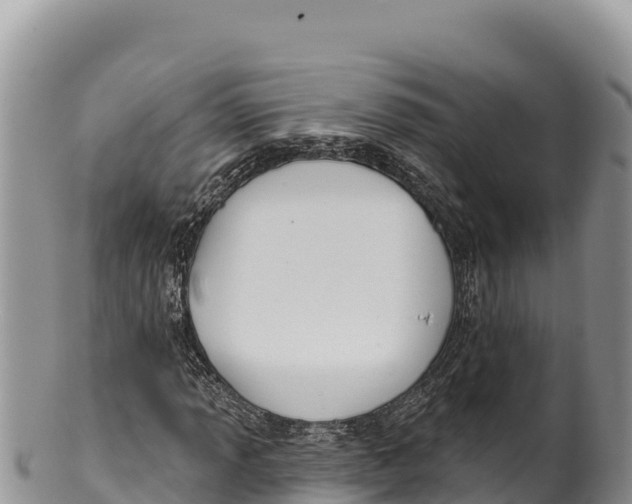 X0000100211013200806201440