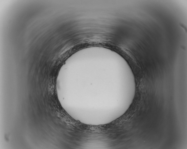 X0000100211015200806201440