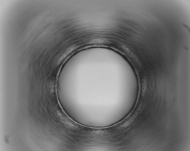 X0000100211017200806201440