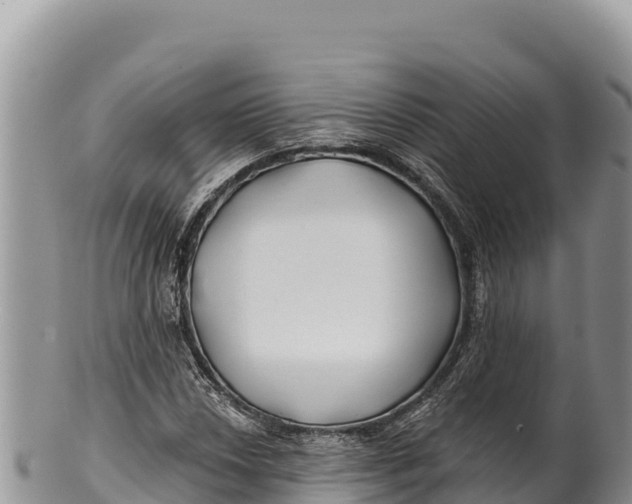 X0000100211018200806201440