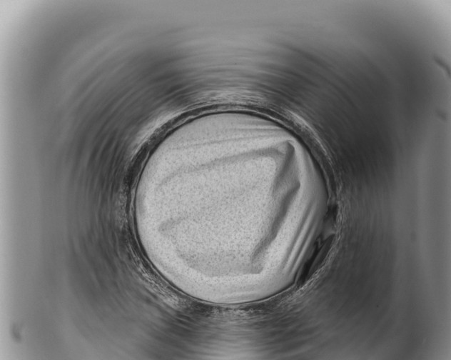 X0000100211019200806201440