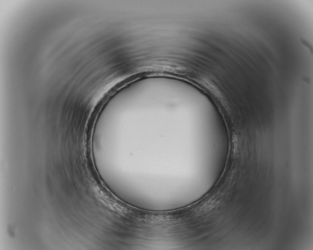 X0000100211020200806201440