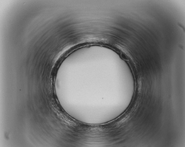 X0000100211021200806201440