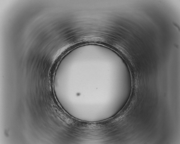 X0000100211022200806201440