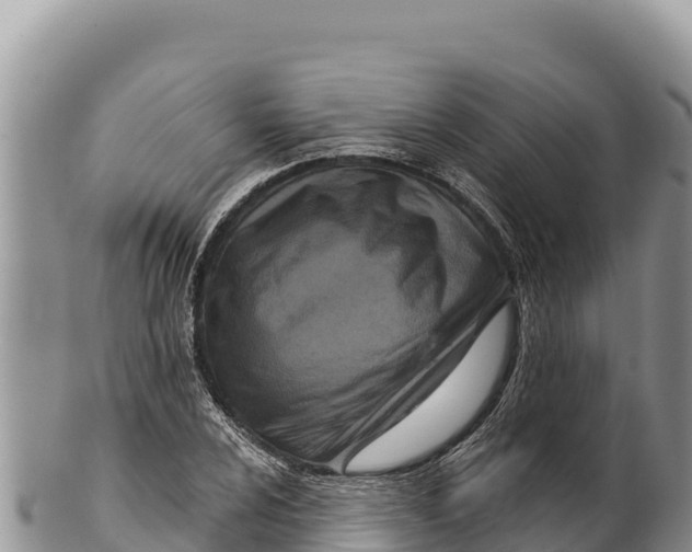 X0000100211024200806201440