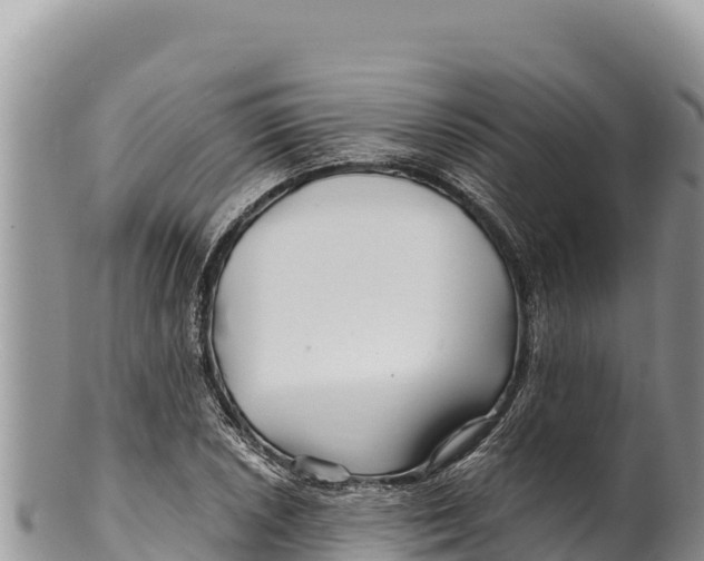 X0000100211026200806201440