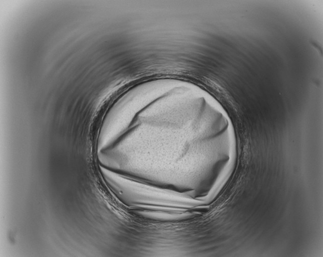 X0000100211027200806201440