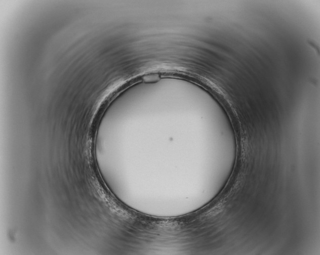 X0000100211029200806201440