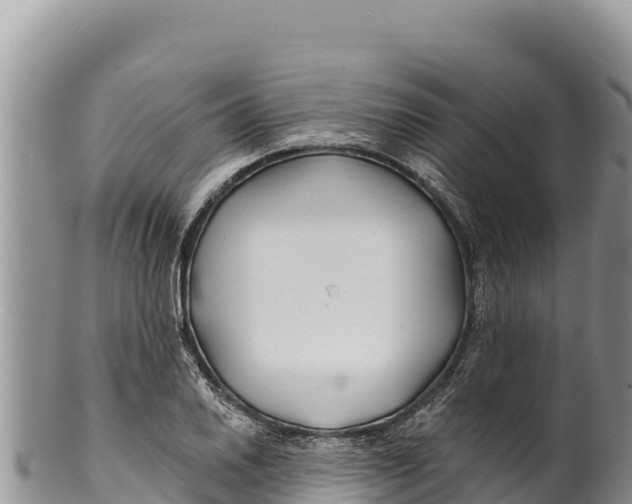 X0000100211030200806201440