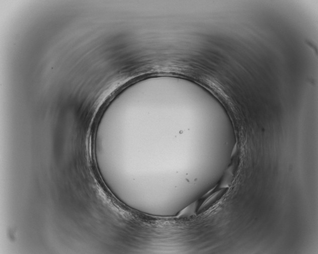 X0000100211032200806201440