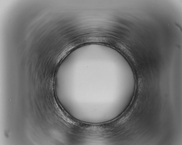 X0000100211033200806201440