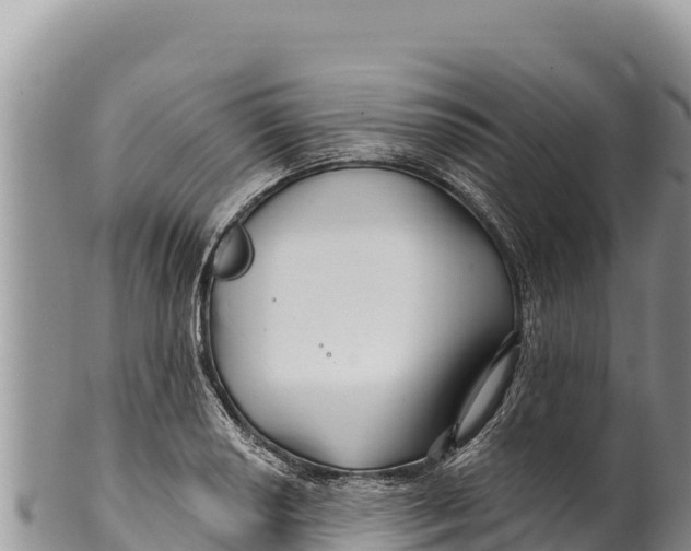 X0000100211034200806201440