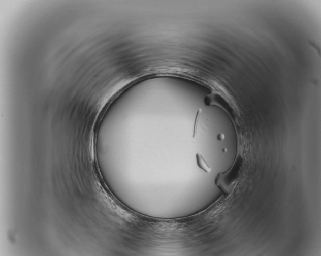 X0000100211036200806201440