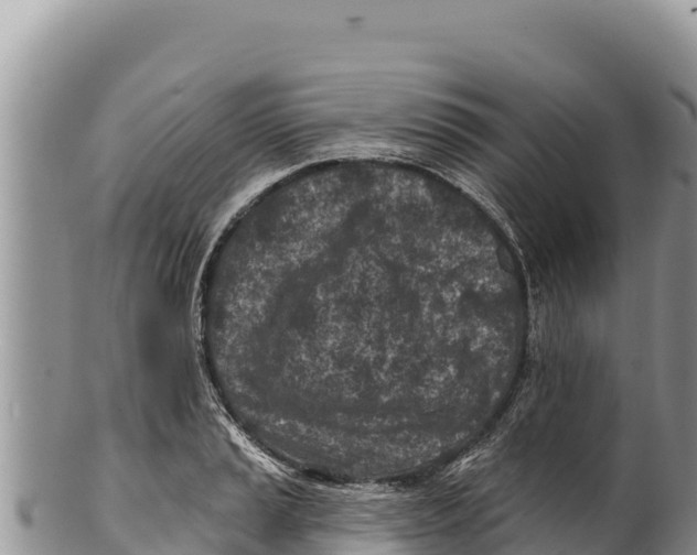 X0000100211037200806201440