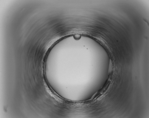 X0000100211038200806201440