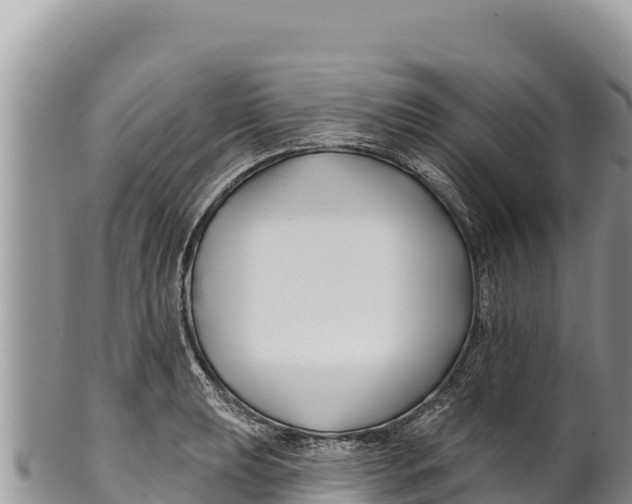 X0000100211039200806201440