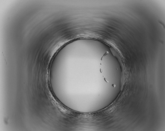 X0000100211040200806201440