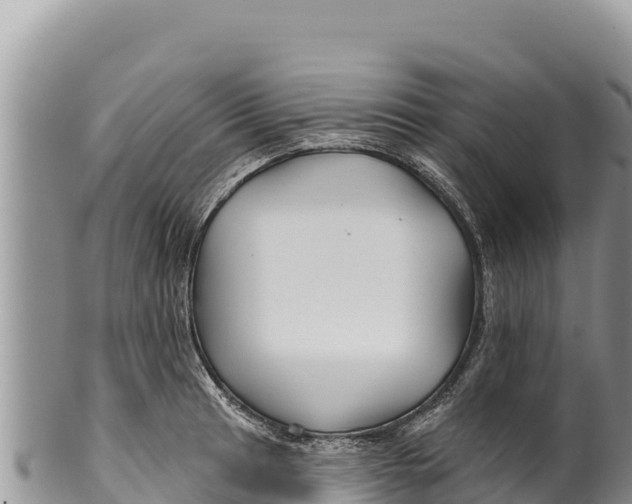 X0000100211041200806201440