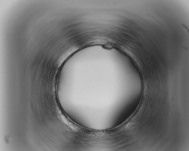 X0000100211042200806201440