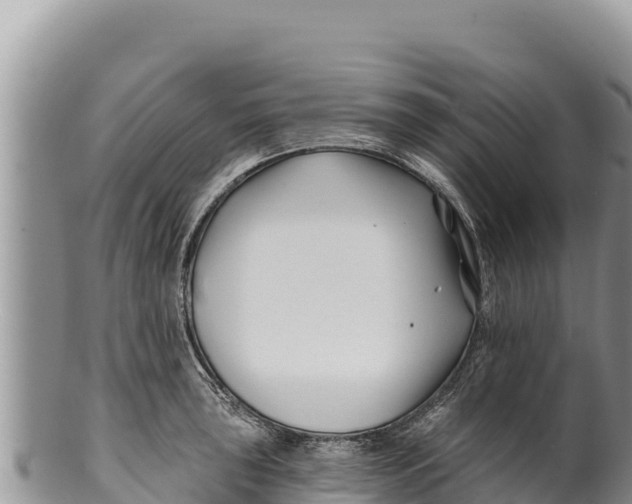 X0000100211043200806201440