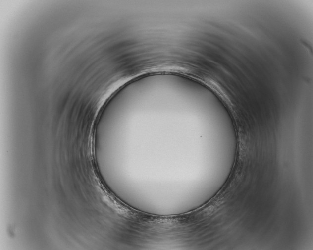 X0000100211044200806201440