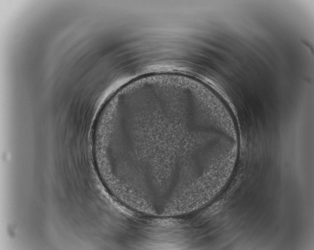 X0000100211045200806201440