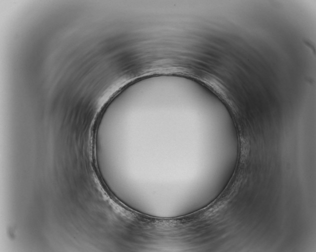 X0000100211046200806201440