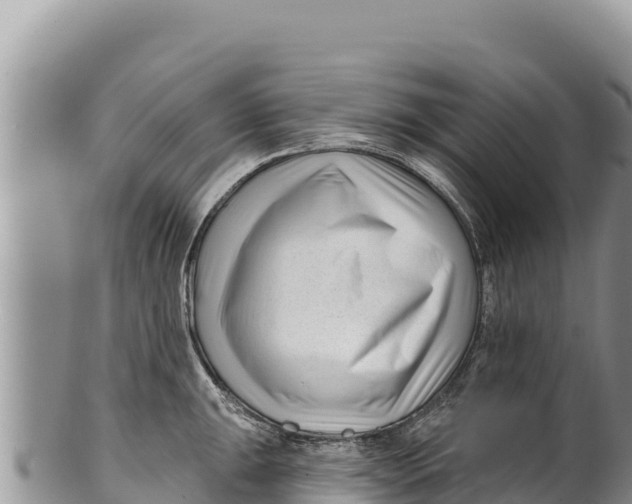 X0000100211047200806201440