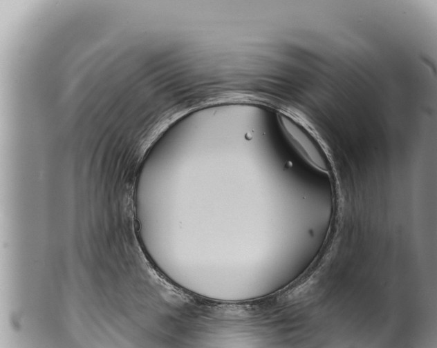 X0000100211049200806201440