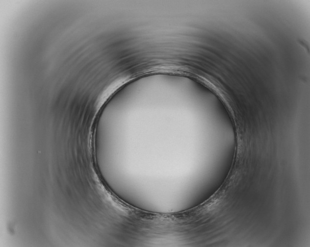 X0000100211050200806201440