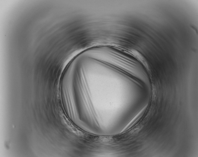 X0000100211052200806201440