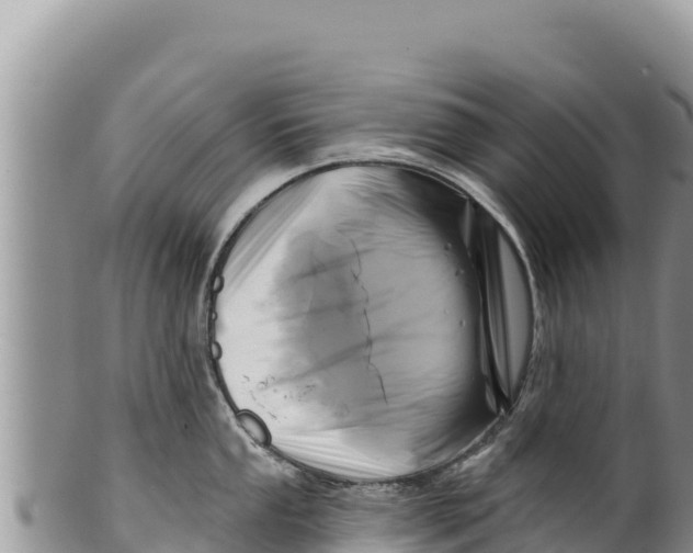 X0000100211053200806201440