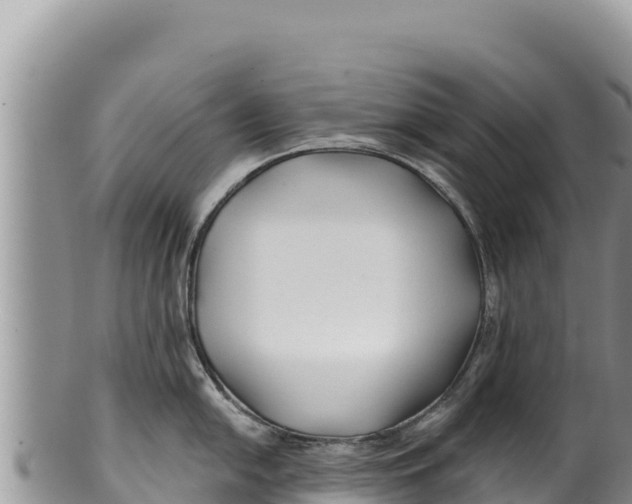 X0000100211054200806201440